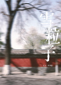 雪粒子